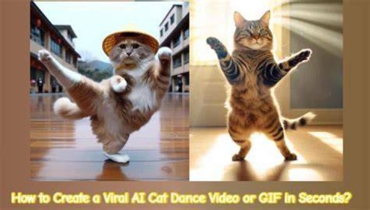 AI cats break dancing