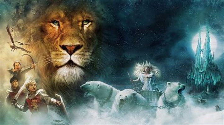 Amazing Narnia's matching kittens