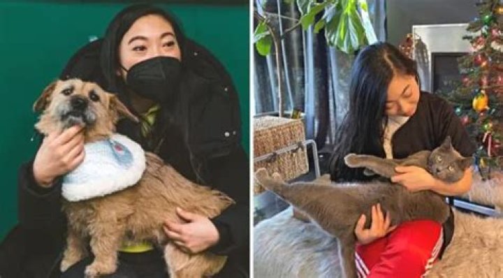 Awkwafina Pets