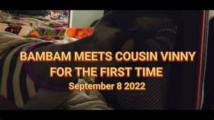 Bambam and cousin Vinny