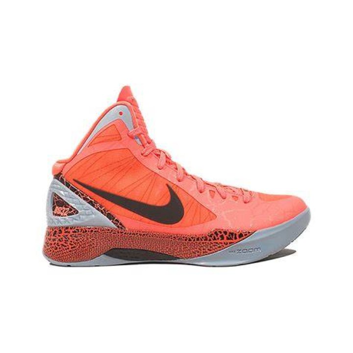 Blake Girffin Nike Hyperdunk Sneakers