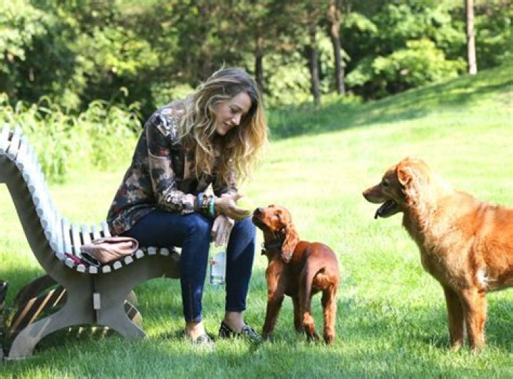 Blake Lively Pets