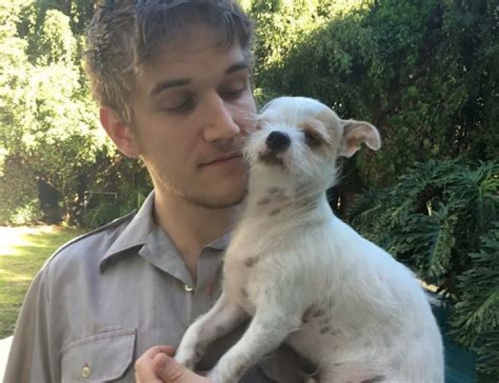 Bo Burnham Pets