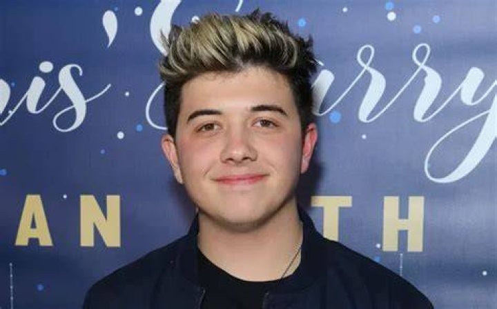 Bradley Steven Perry Pets