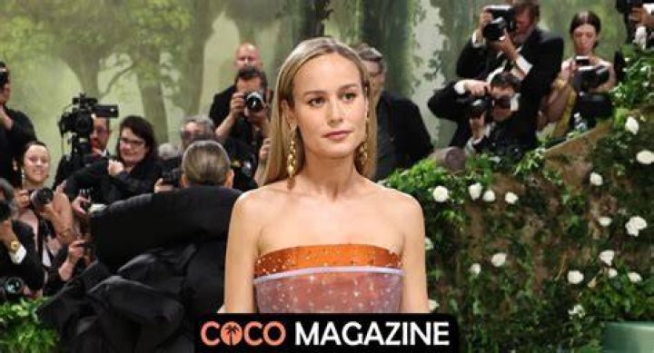 Brie Larson Net Worth: Career & Awards