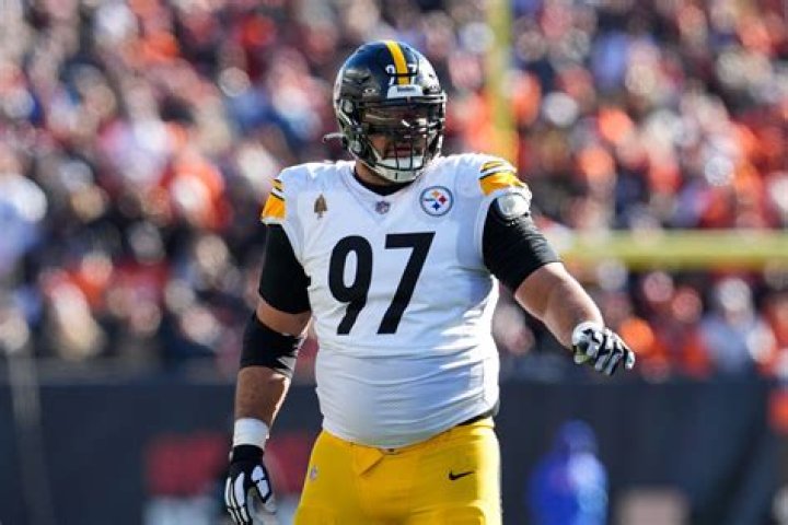 Cameron Heyward photo 3