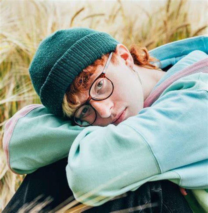 Cavetown Bio (Wiki) 