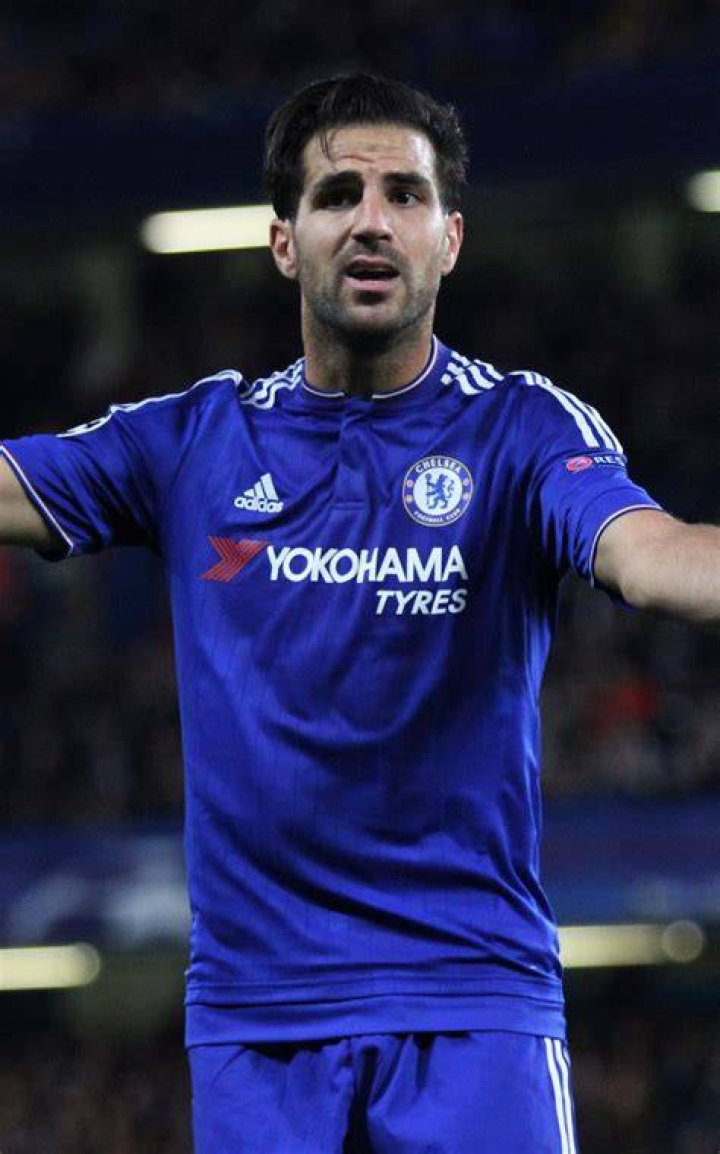 Cesc Fabregas photo 2