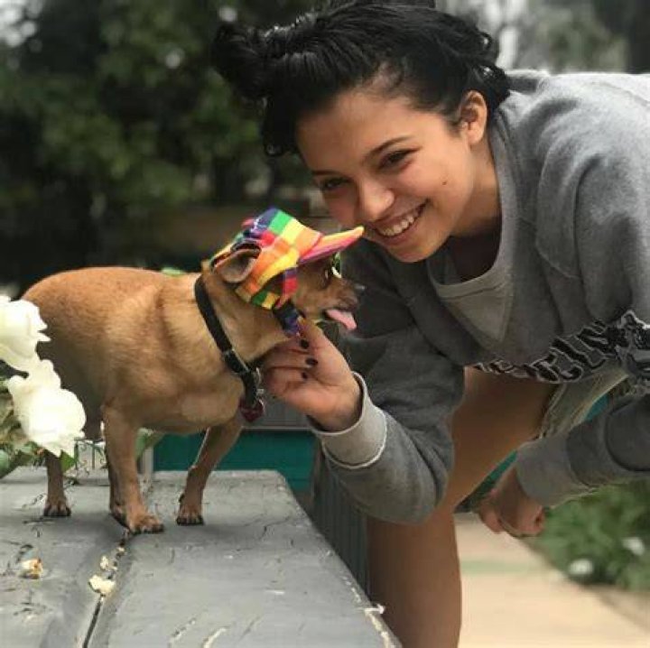 Cree Cicchino Pets