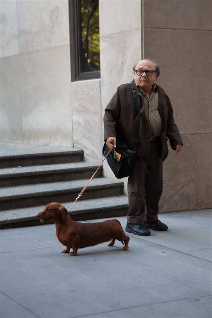 Danny DeVito Pets