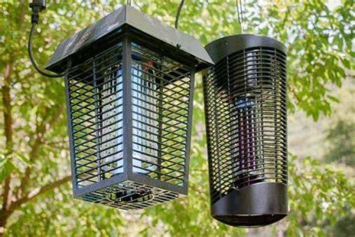 Do bug zappers kill June bugs?