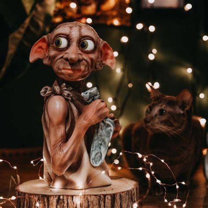 Dobby Murillo Potter Instagram