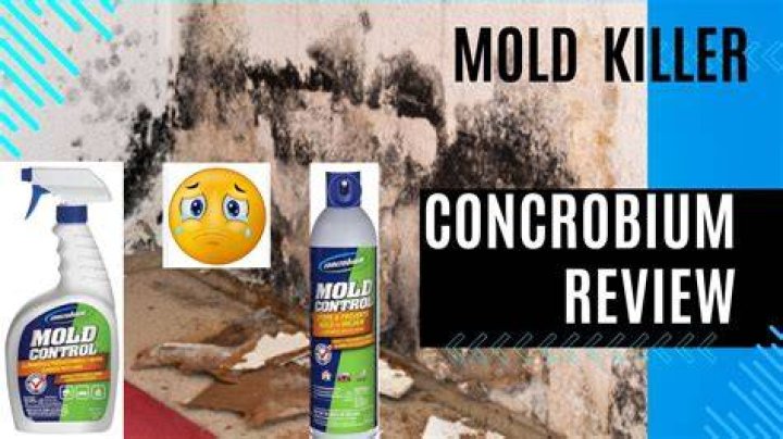 Does Concrobium kill black mold?