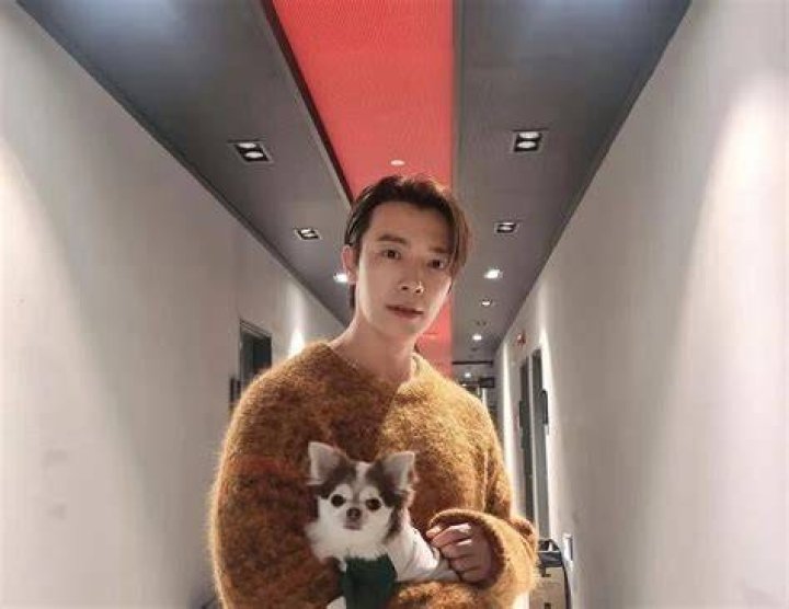 Donghae Pets