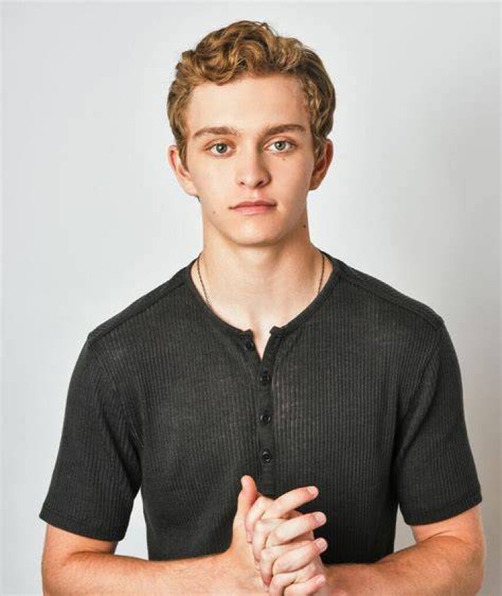 Gavin Lewis Bio (Wiki) 