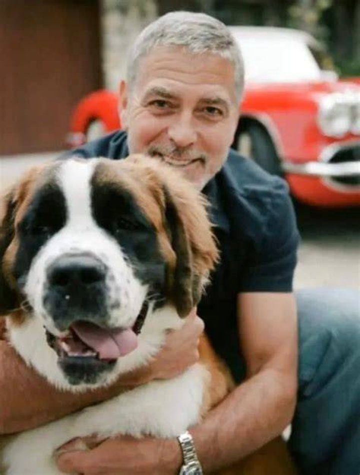 George Clooney Pets
