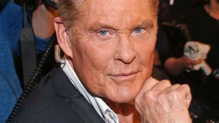 Hasselhoff's mansion in Los Angeles
