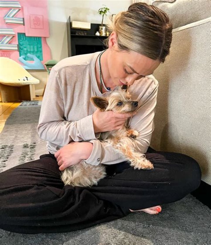 Hilary Duff Pets