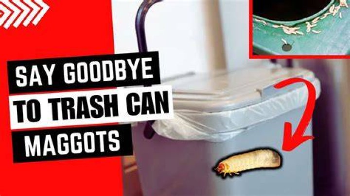 How do I kill maggots in my trash can?