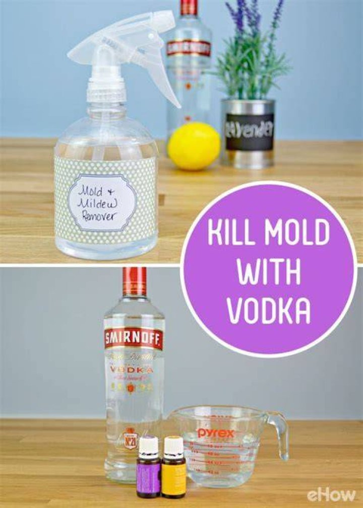 How do you kill mold with vodka?