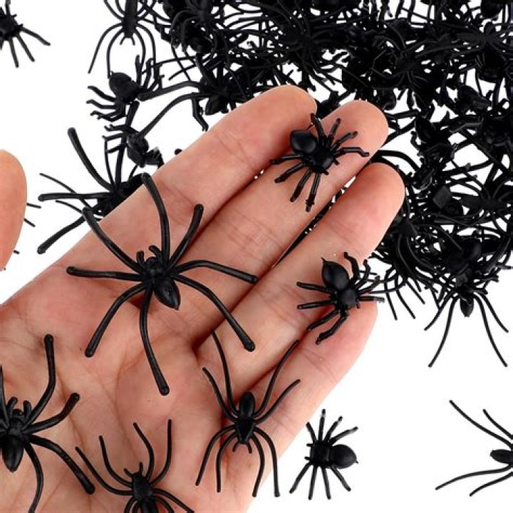 How do you make fake spiders?