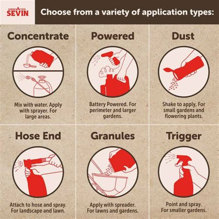 How do you spread Sevin dust?