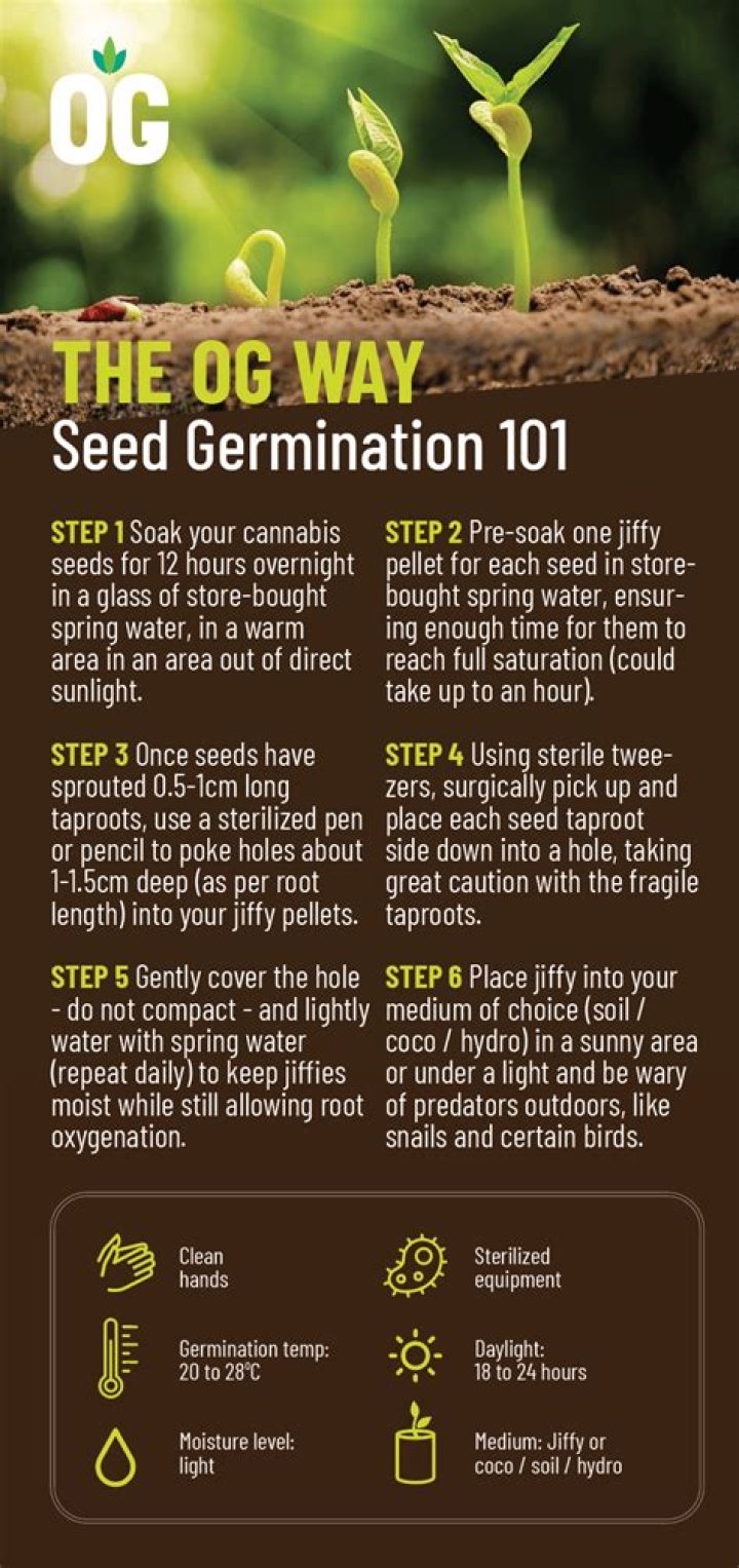 How long does it take EZ seed to germinate?