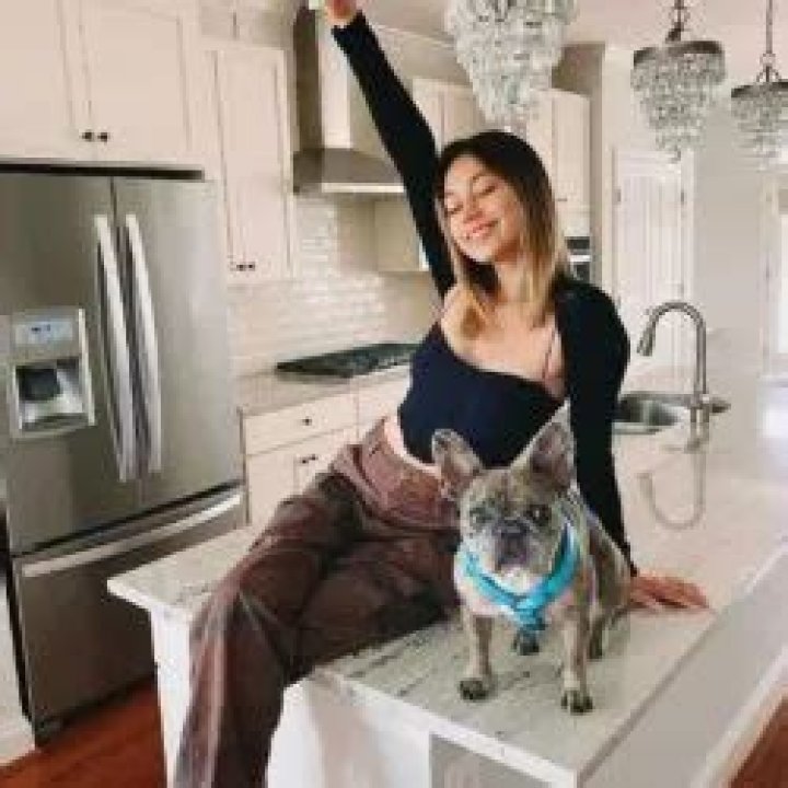 Ivanita Lomeli Pets