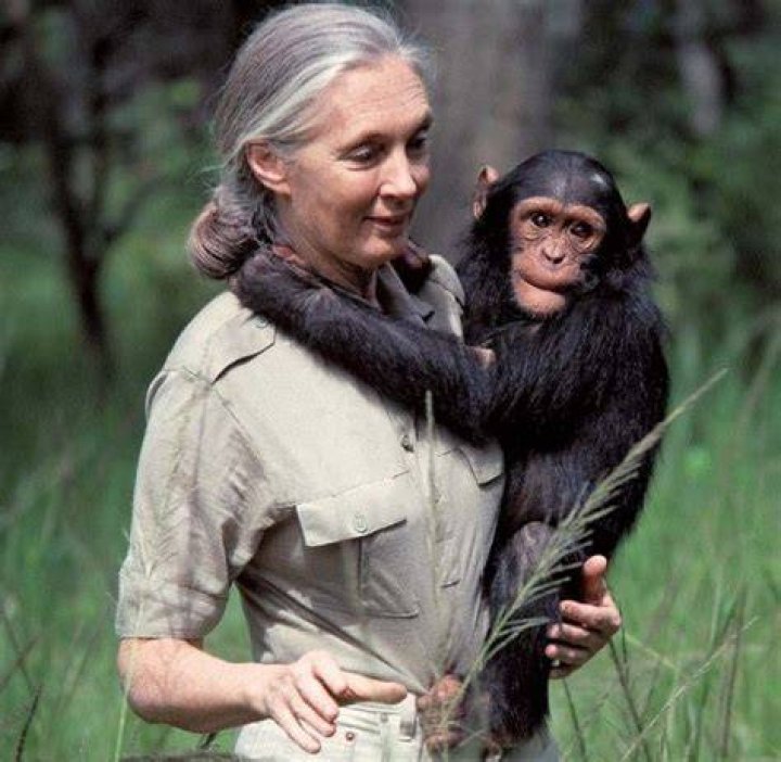 Jane Goodall Bio (Wiki) 