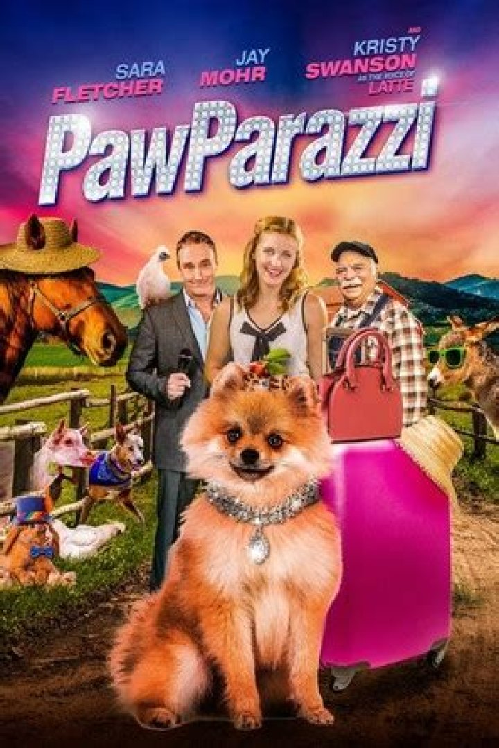 Jay Movie Poster (Source: CineMaterial)
