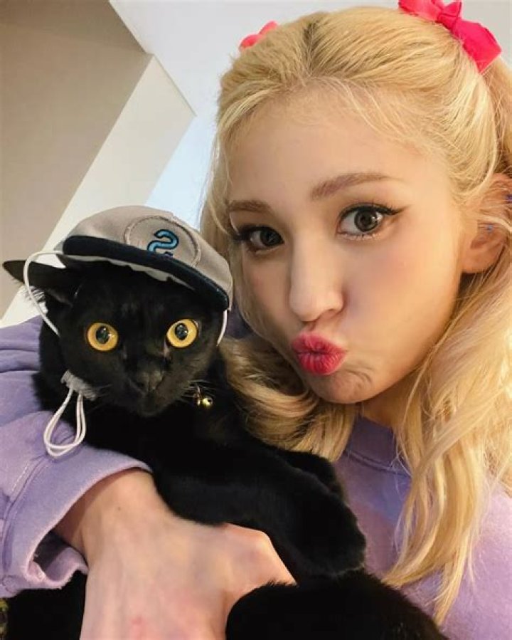 JEON SOMI Pets