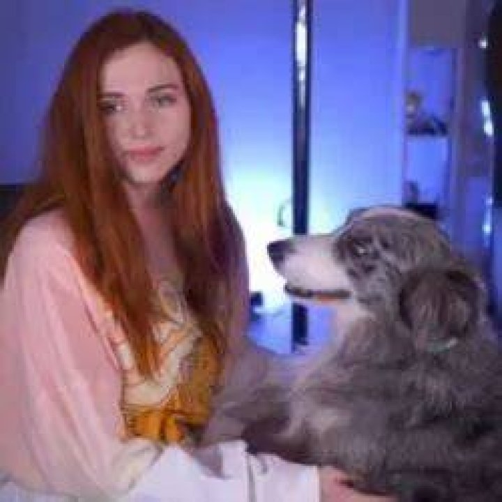 Kaitlyn Siragusa (Amouranth) Pets