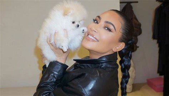 Kim Kardashian Pets