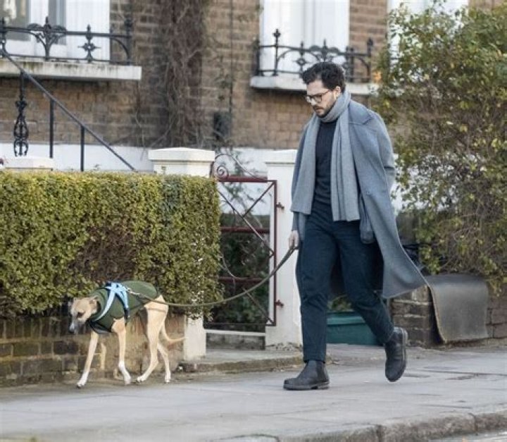 Kit Harington Pets