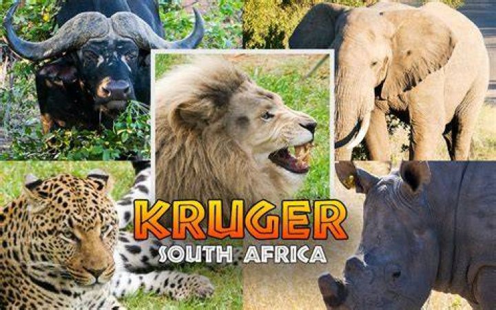 kruger