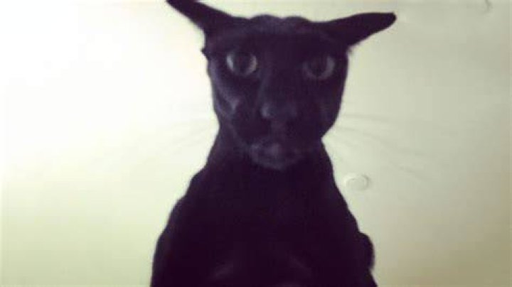 Larry Posing For The Camera (Source: IMDb)