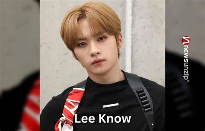 Lee Know Bio (Wiki) 
