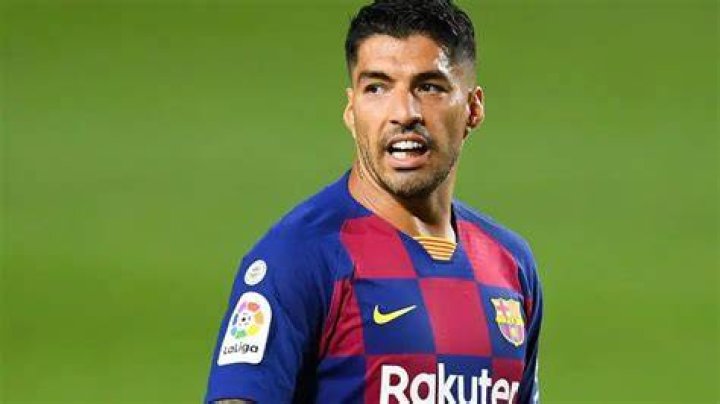 Luis Suarez Bio (Wiki) 