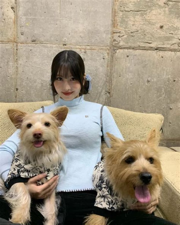 Momo Hirai Pets