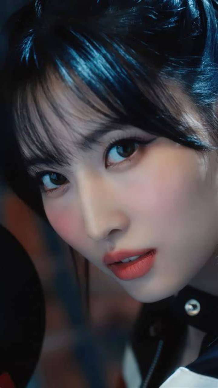 Momo Hirai's pet Petco, Pudding & Lucky