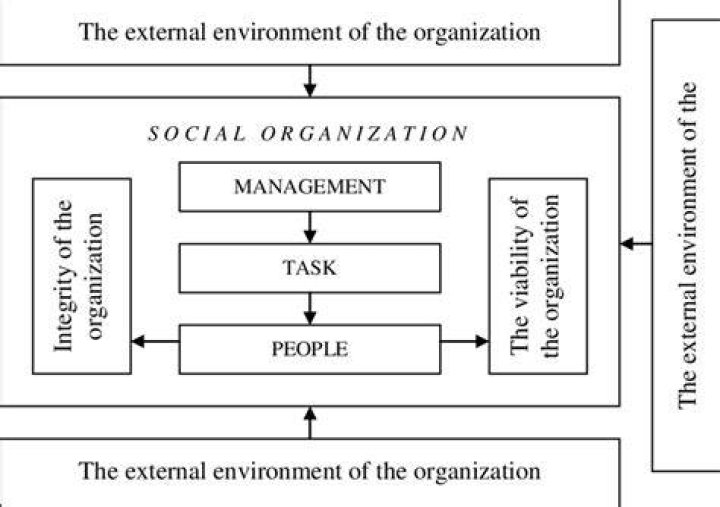 organization (Source: tsffoundation.org)