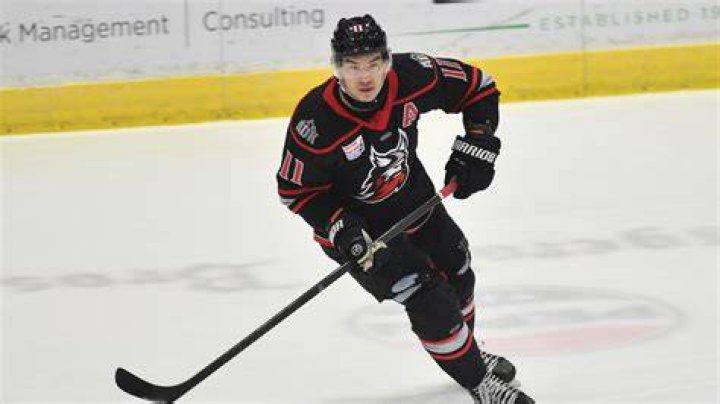 Shane Harper Highlights
