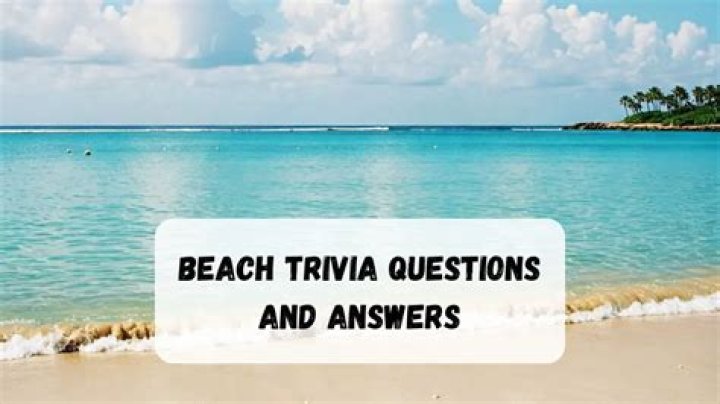 Some Beach - Artist, Ages, Trivia