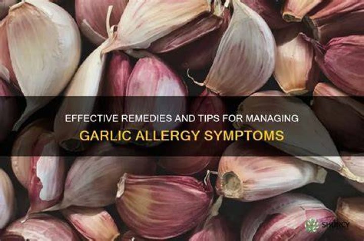 Is bisexual Drew Barrymore desperate for a romantic partner? Learn about her relationships and garlic allergy! Source: Allergy Magazine (Garlic)
