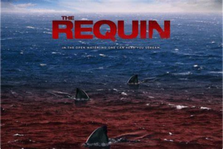 The Requin - Cast, Ages, Trivia