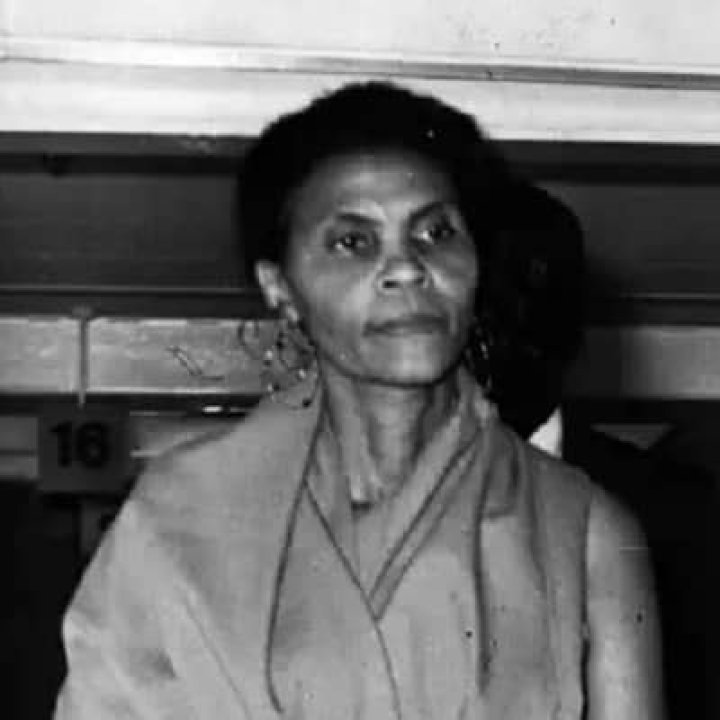 Themetta Suggs Bio (Wiki) 