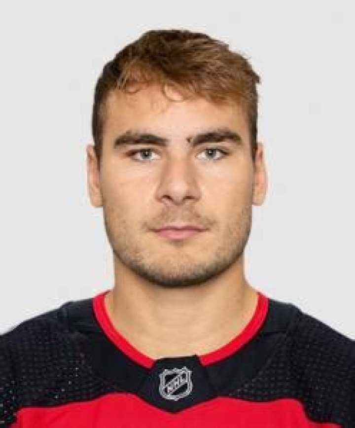 Timo Meier Bio (Wiki) 