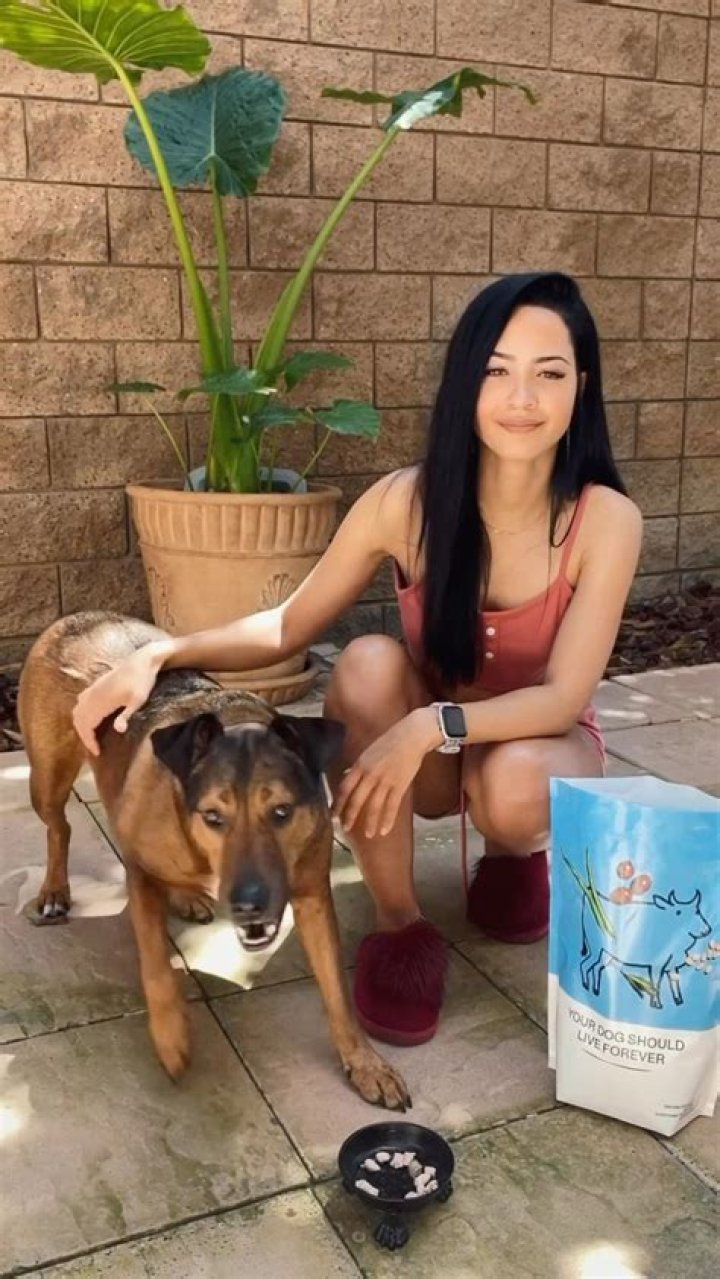 Tristin Mays Pets