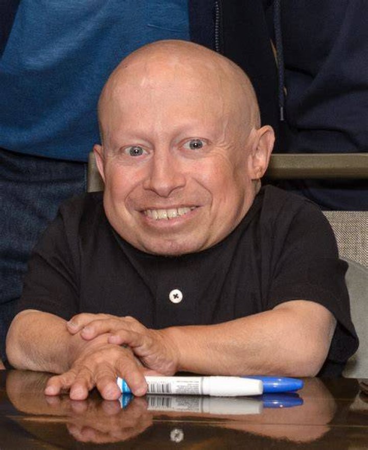 Verne Troyer Bio (Wiki) 