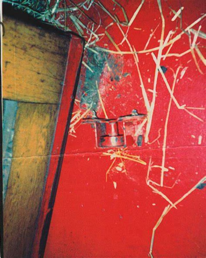 Was Alydar murdered?